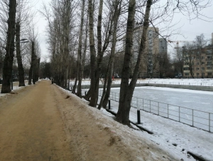 Красногвардейские пруды