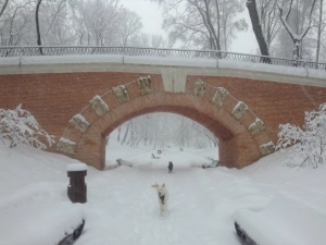 Центральный парк культуры и отдыха им. М. Горького