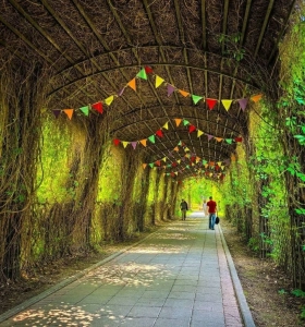 Парк Усадьба Трубецких в Хамовниках