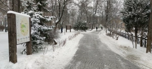 Георгиевский сквер