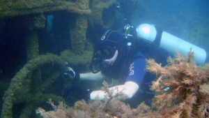 Дайвинг-центр 