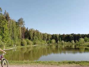 Кусковский лесопарк