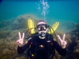 Ластоногие