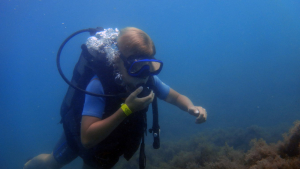 Дайв-центр Южанин