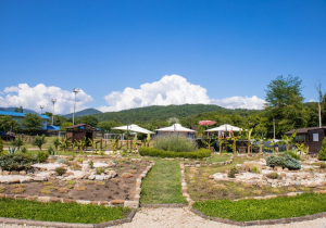 Эко Парк Вотчина