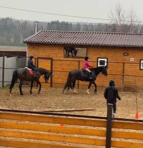 Конный двор