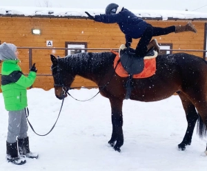 Конный двор