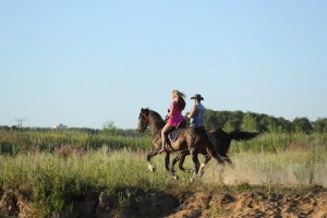 Лошади Дзержинский