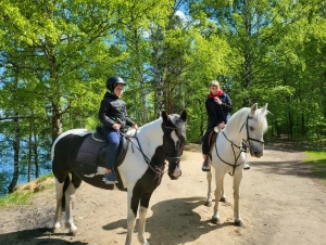 Лошади Дзержинский