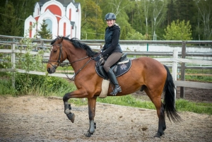 Конный прокат