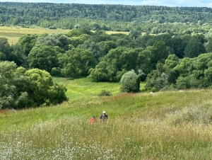 Любители странствий