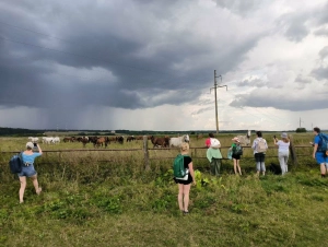 Любители странствий