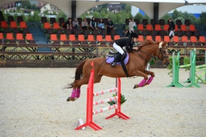 Школа верховой езды Резонанс