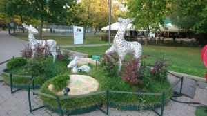 Алтуфьевский комплексный заказник