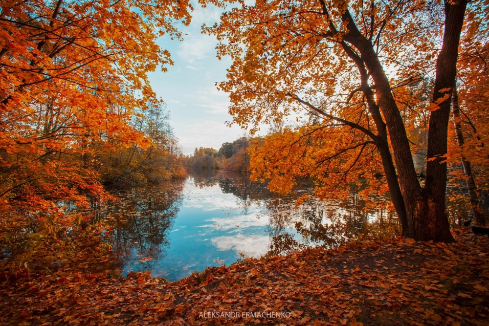 Экологическая тропа 