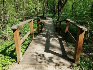 Экологическая тропа 