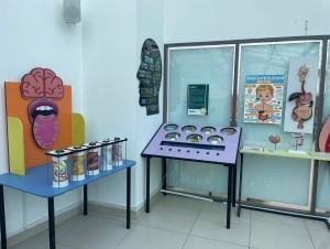 Анатомикум