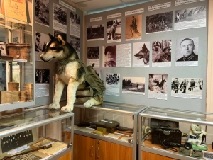 Музей Собаки