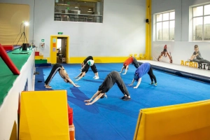 Секция гимнастики и акробатики 