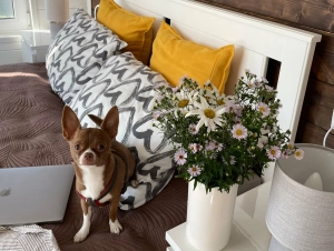 На•ПОЛЕ•он