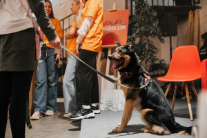 Дизайн завод