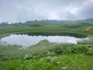 Хмелевские озёра