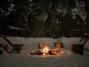 Вили Улей ОКА