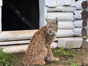 Зооферма Шихово