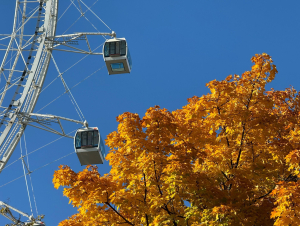 Солнце Москвы