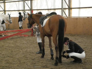 Эколого-просветительский центр Конный двор