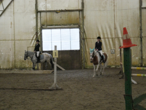 Эколого-просветительский центр Конный двор