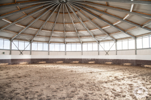 Конная лахта