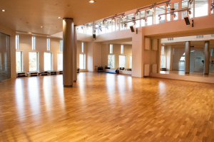 ФитнесМания МДМ