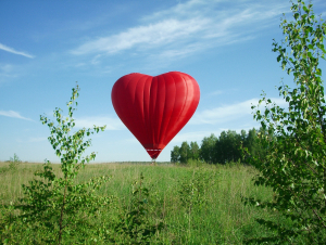 Меджик Флайт