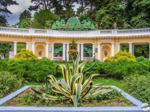 Парк Дендрарий