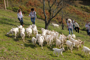 Экоферма Экзархо