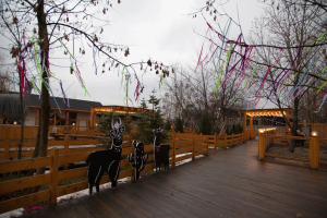 Альпака Парк