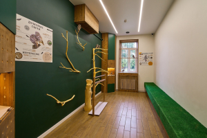 Совиный дом