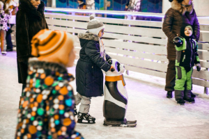 Каток в Саду им. Баумана