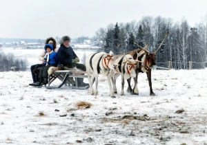 Этнопарк «Кочевник»