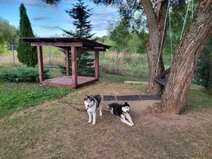 Парк ХАСКИ ЛЭНД