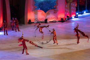 Каток на ВДНХ