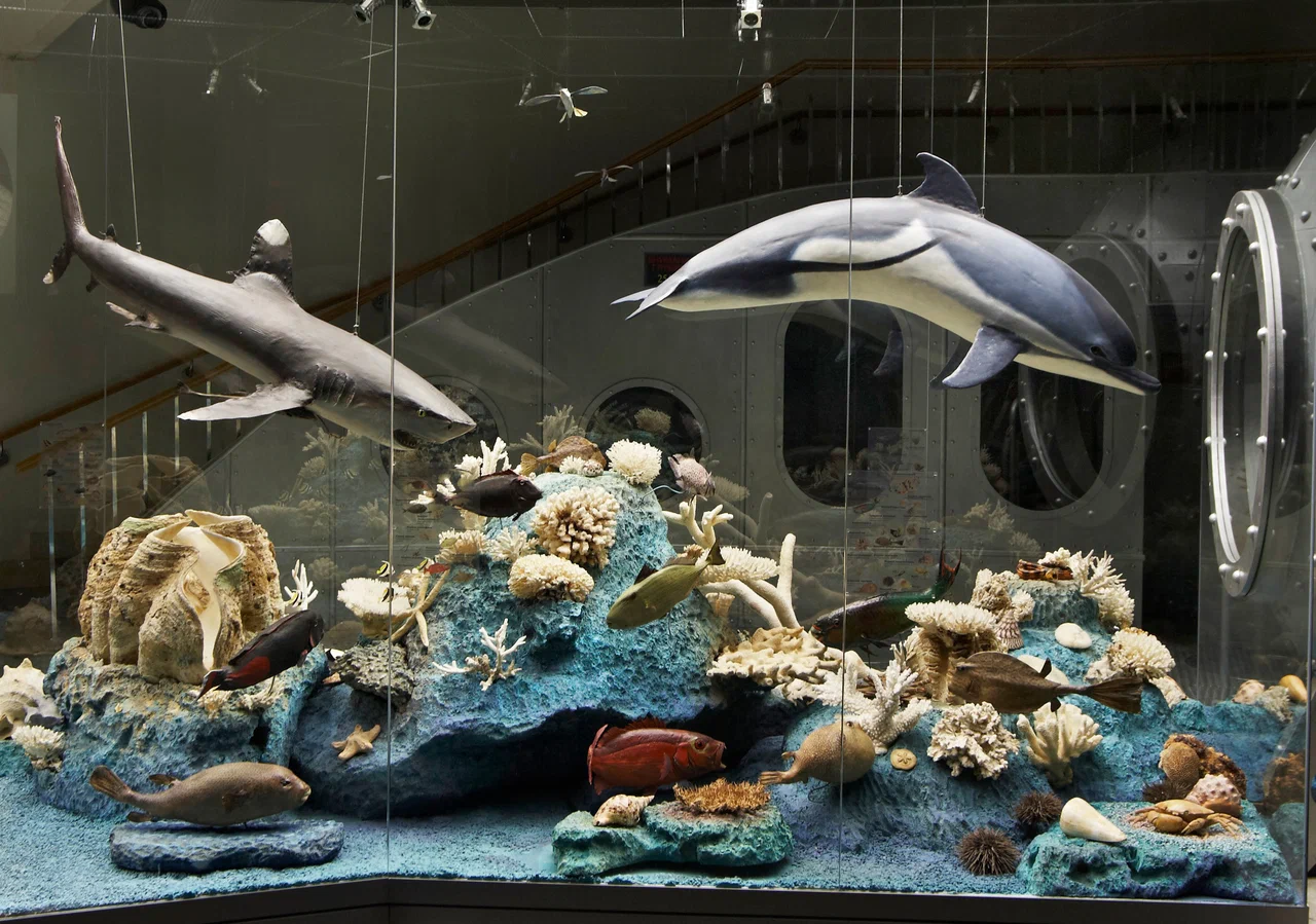 Дарвиновский музей