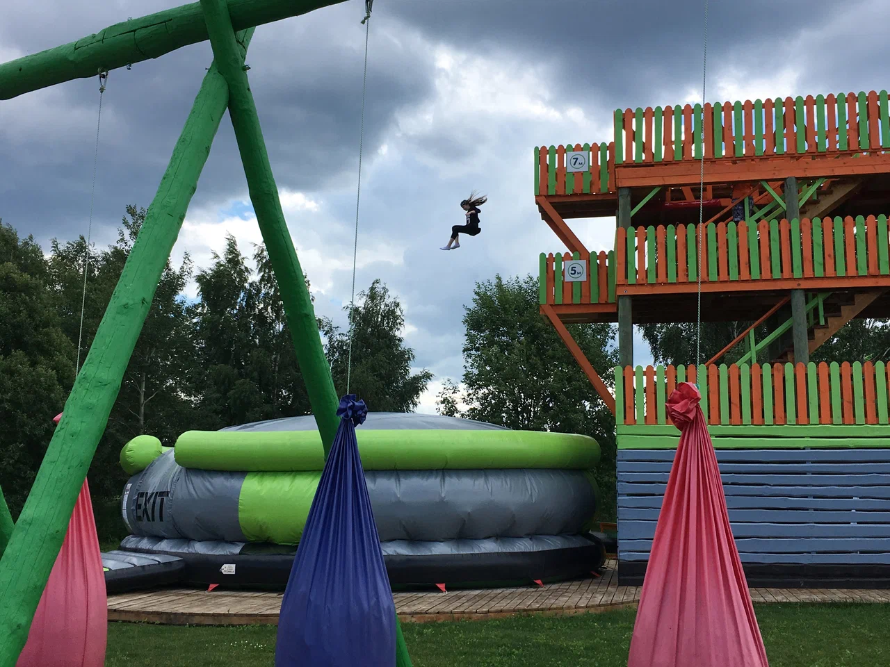 Лабиринт Дикие белки