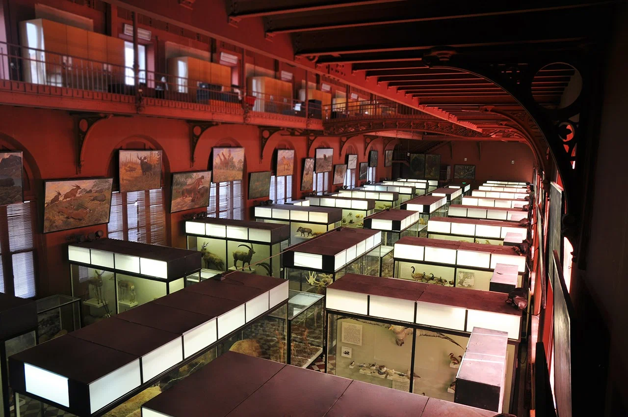 Зоологический музей МГУ