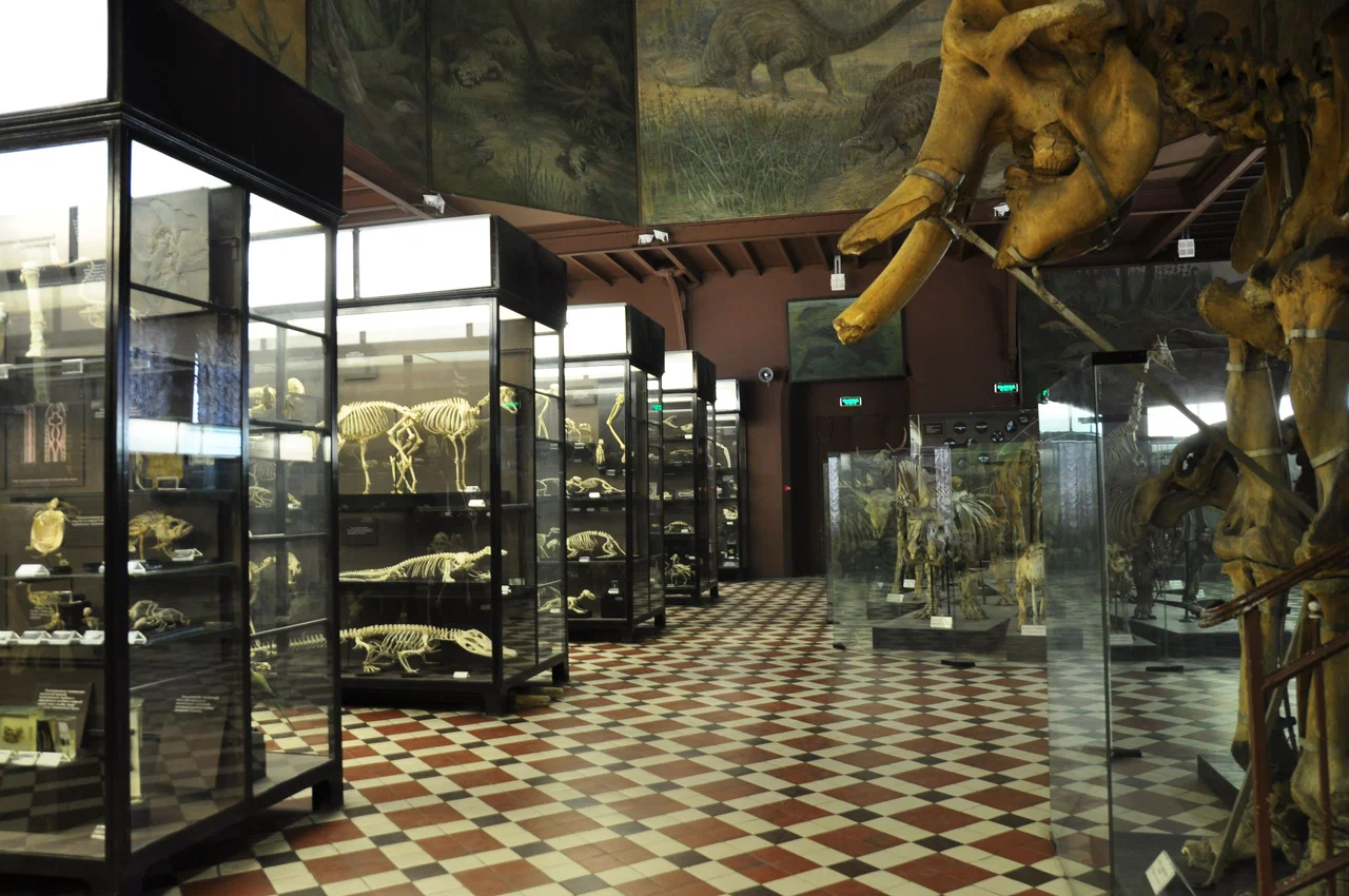 Зоологический музей МГУ