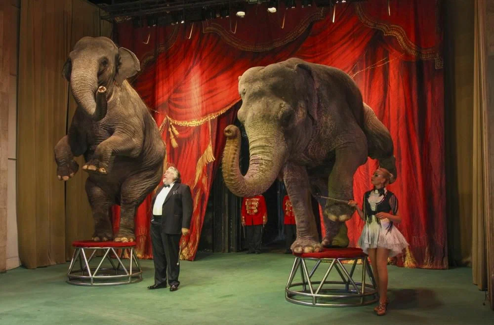 Уголок дедушки Дурова