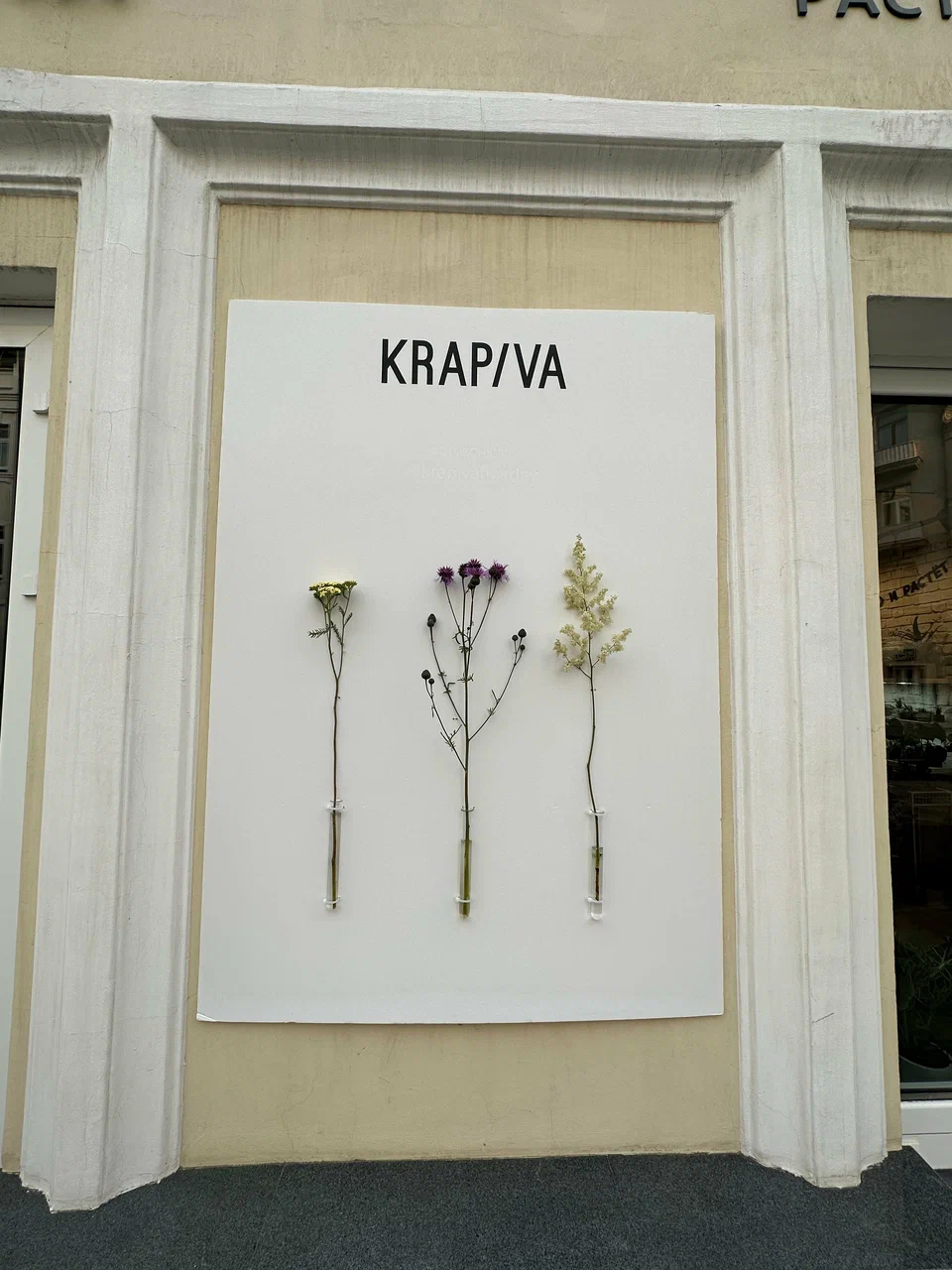 Krapiva