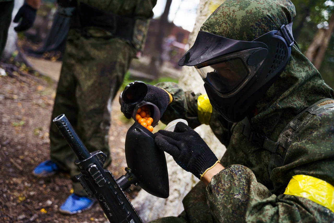 Северный олень