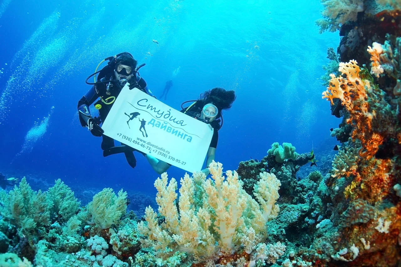Студия дайвинга